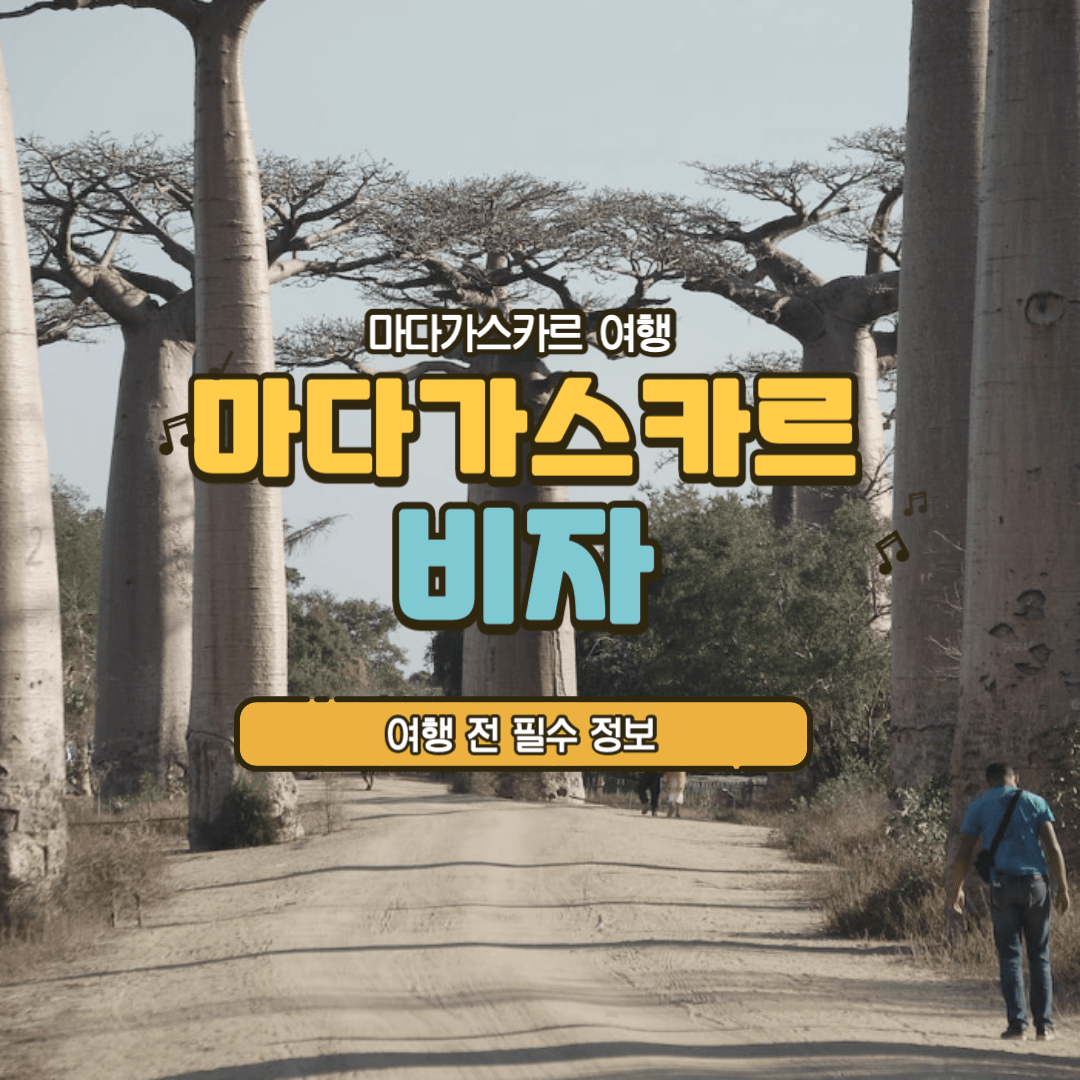 마다가스카르 비자