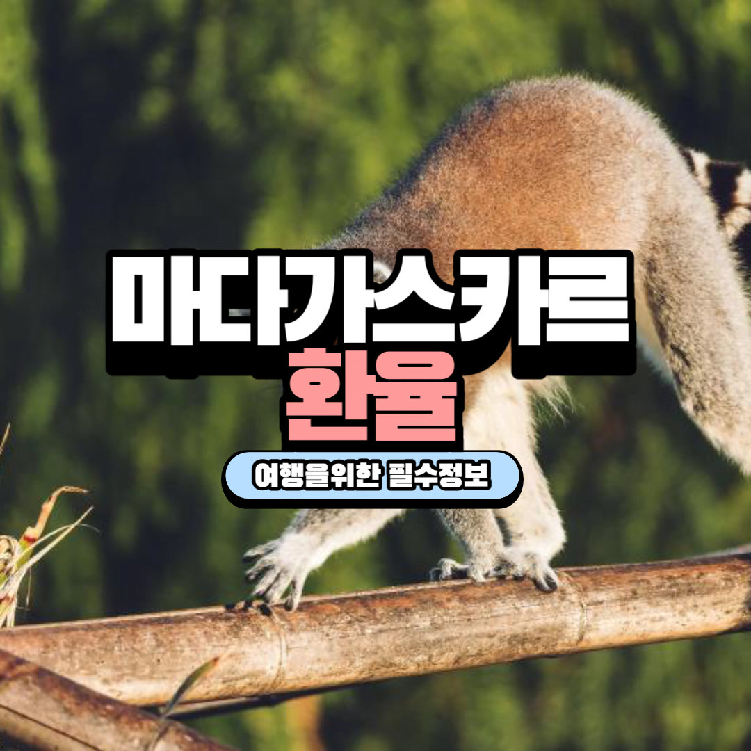 마다가스카르 환율