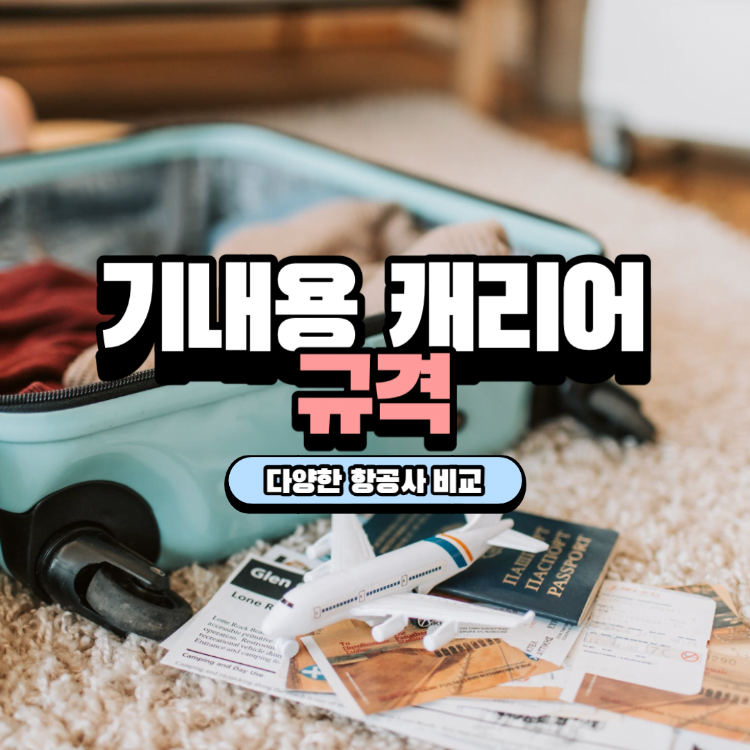 기내용 캐리어 규격