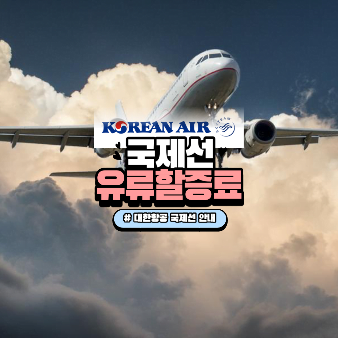 대한항공 국제선 유류할증료