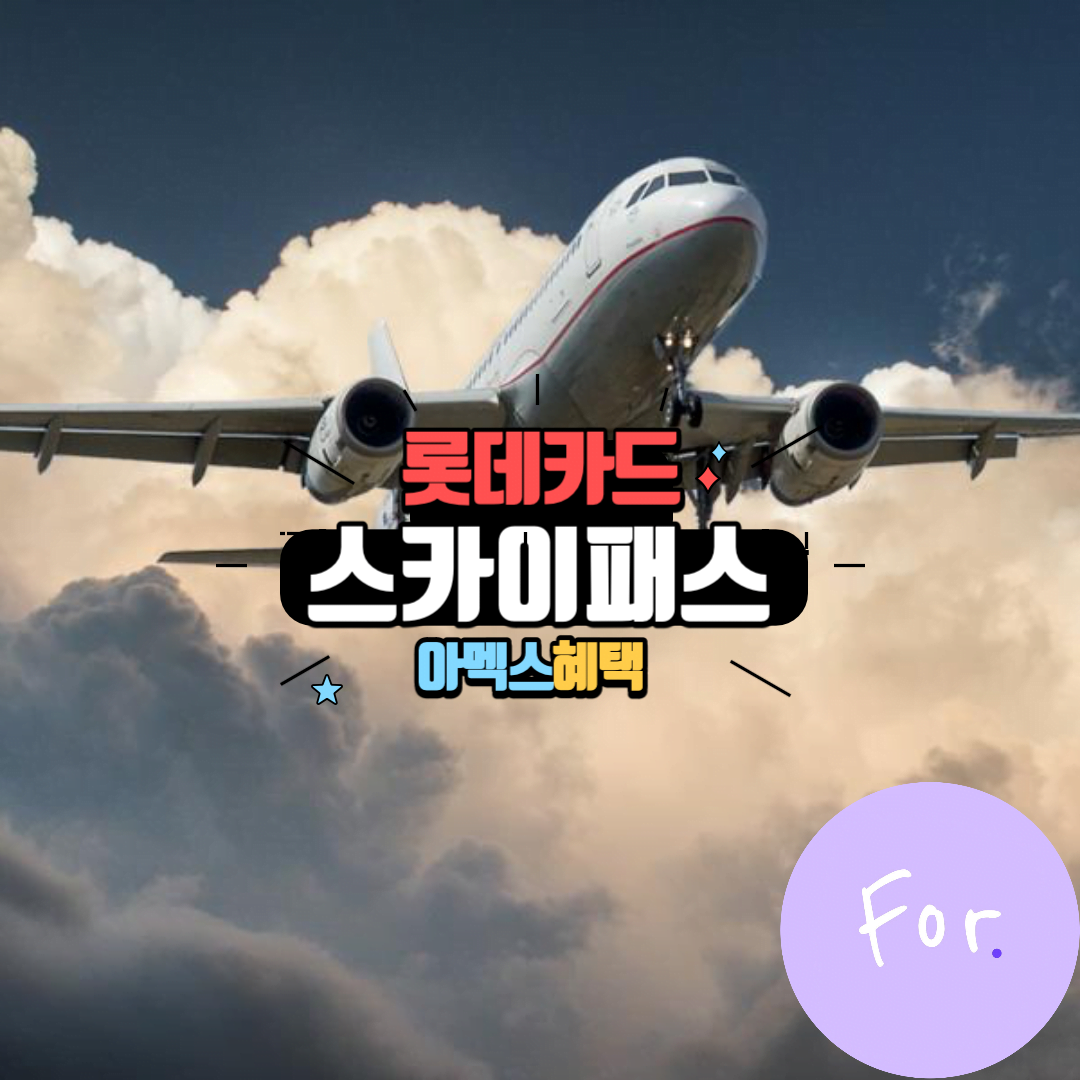 롯데 스카이패스 아멕스