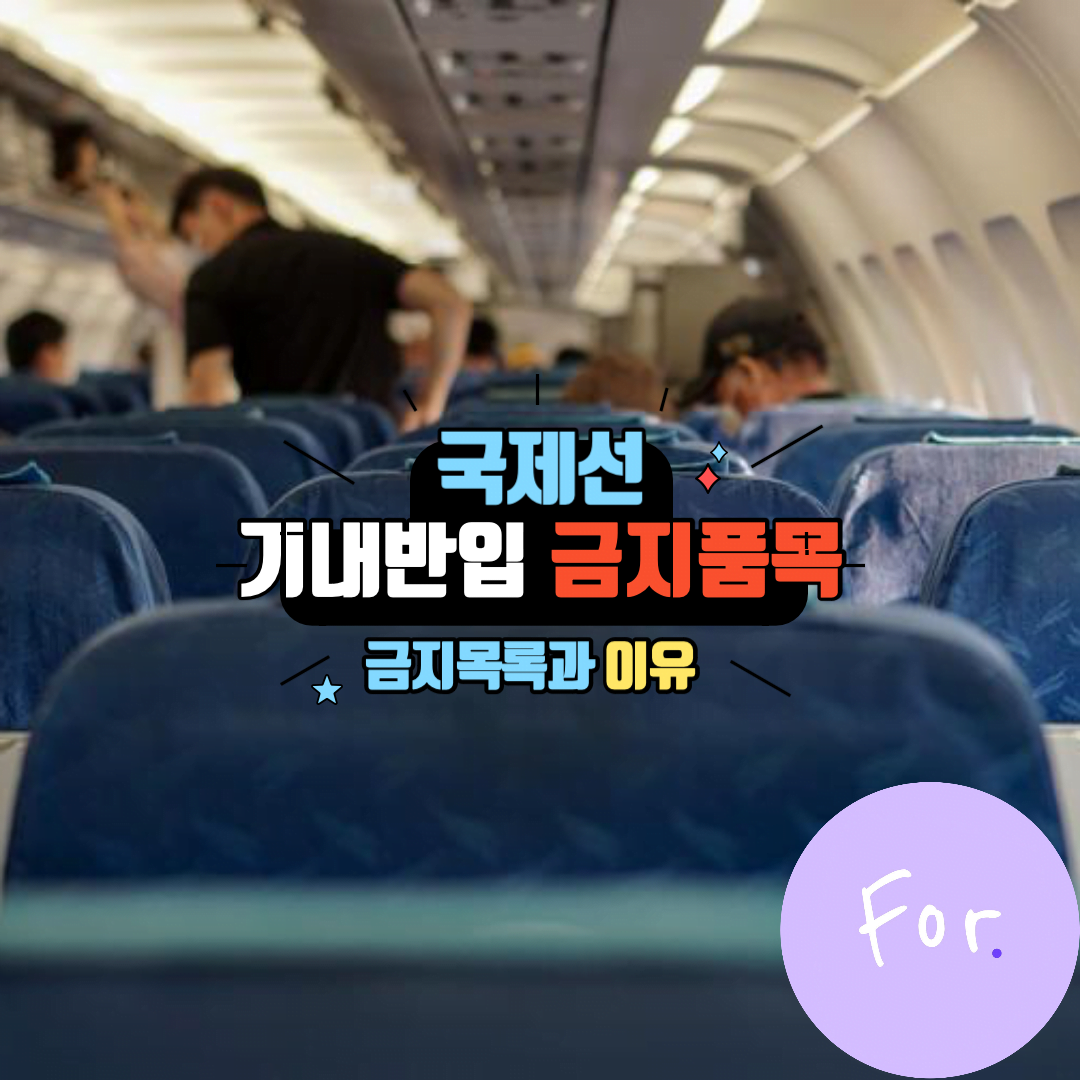 국제선 기내 반입 금지 품목