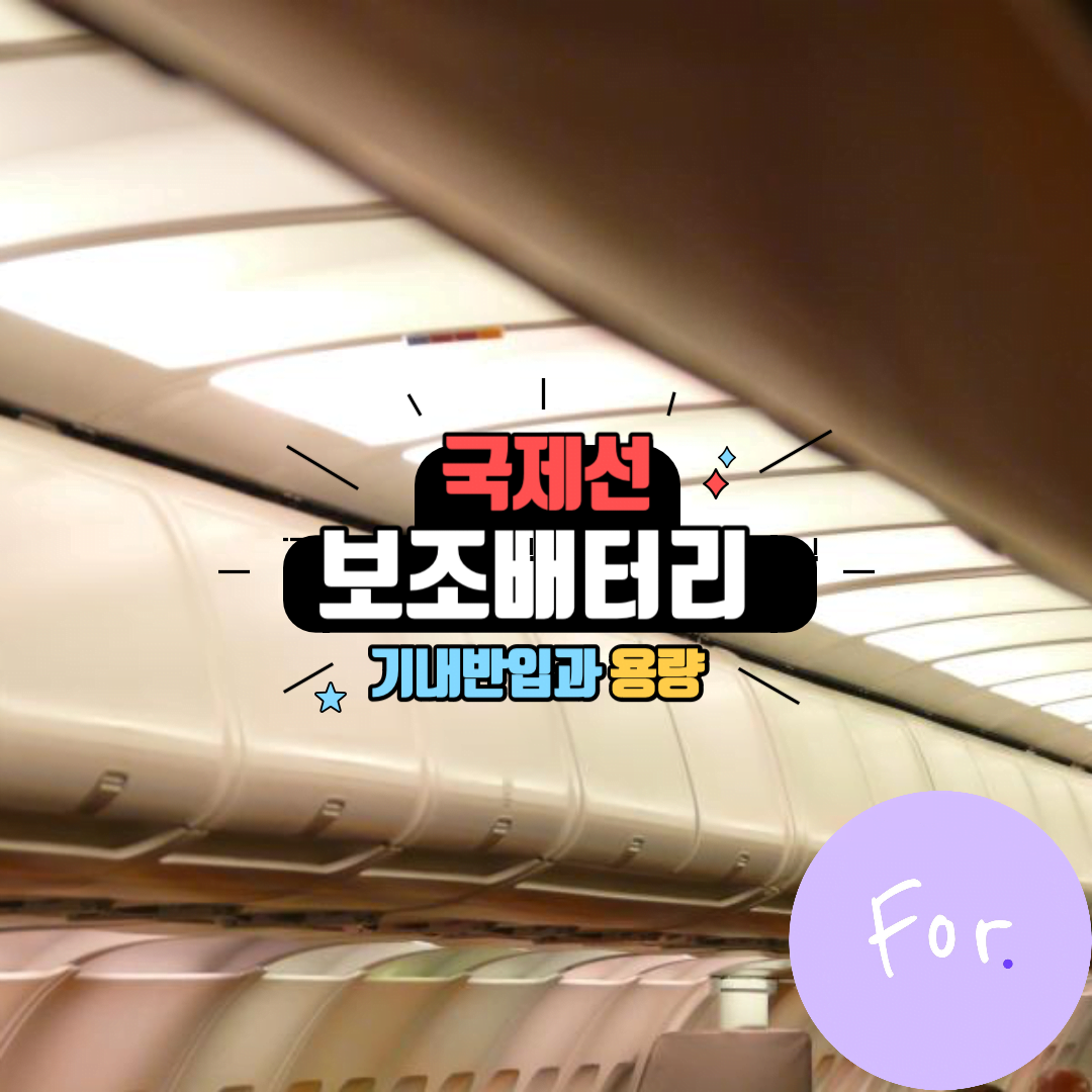 보조배터리 기내반입