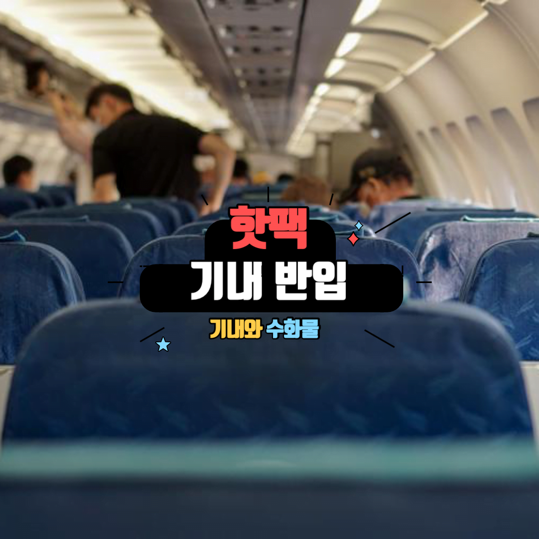 핫팩 기내반입